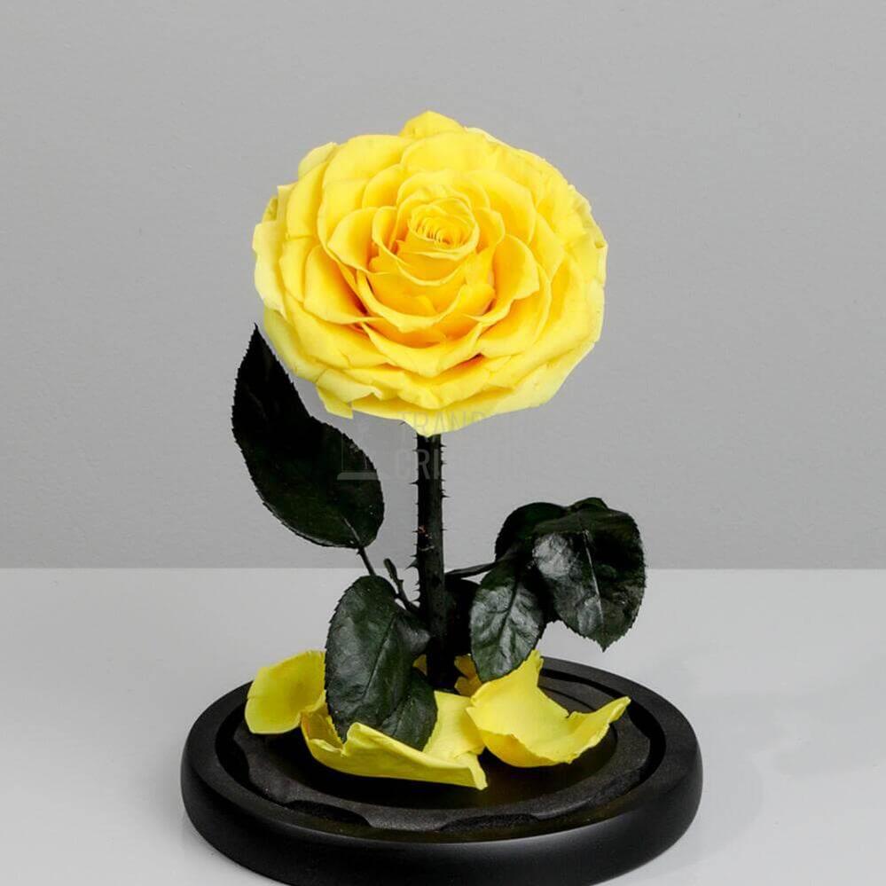 Trandafir Criogenat Bonita Galben În Cupolă De Sticlă Cu Mesaj Personalizat Cadou Pentru Femei