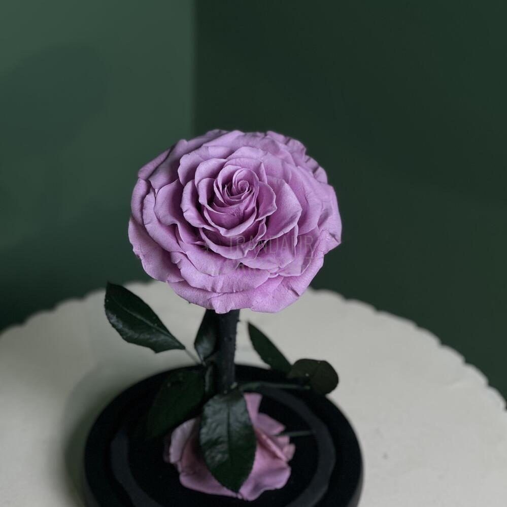 Trandafir Criogenat Bonita Lila În Cupolă De Sticlă Cu Mesaj Personalizat Cadou Pentru Femei