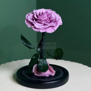 Trandafir Criogenat Bonita Lila În Cupolă De Sticlă Cu Mesaj Personalizat Cadou Pentru Femei