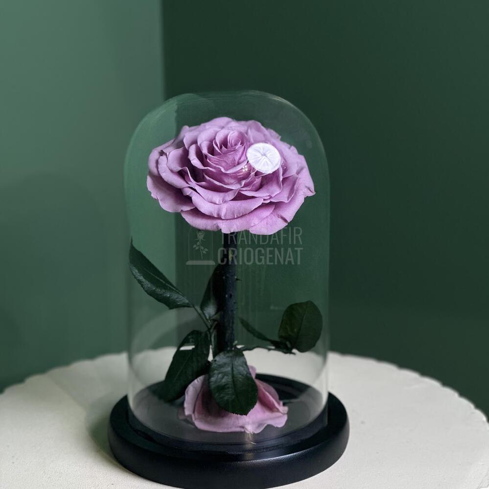 Trandafir Criogenat Bonita Lila În Cupolă De Sticlă Cu Mesaj Personalizat Cadou Pentru Femei