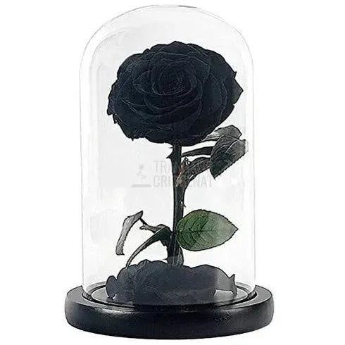 Trandafir Criogenat Bonita Negru în Cupolă de Sticlă Cadou Femei cu Mesaj Scris Livrare 24h