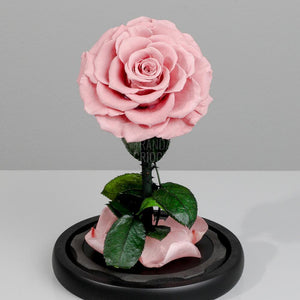 Trandafir Criogenat Bonita Roz Pal În Cupolă De Sticlă Cu Mesaj Personalizat Cadou Pentru Femei