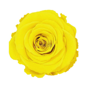 Trandafir Criogenat Galben In Cupola De Sticla Cu Mesaj Personalizat Cadou Pentru Femei