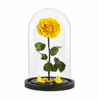Trandafir Criogenat Galben În Cupolă De Sticlă Cu Mesaj Personalizat Cadou Pentru Femei Rezistă 25 De Ani