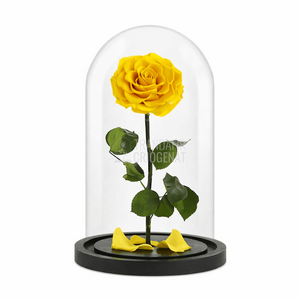 Trandafir Criogenat Galben În Cupolă De Sticlă Cu Mesaj Personalizat Cadou Pentru Femei Rezistă 25 De Ani