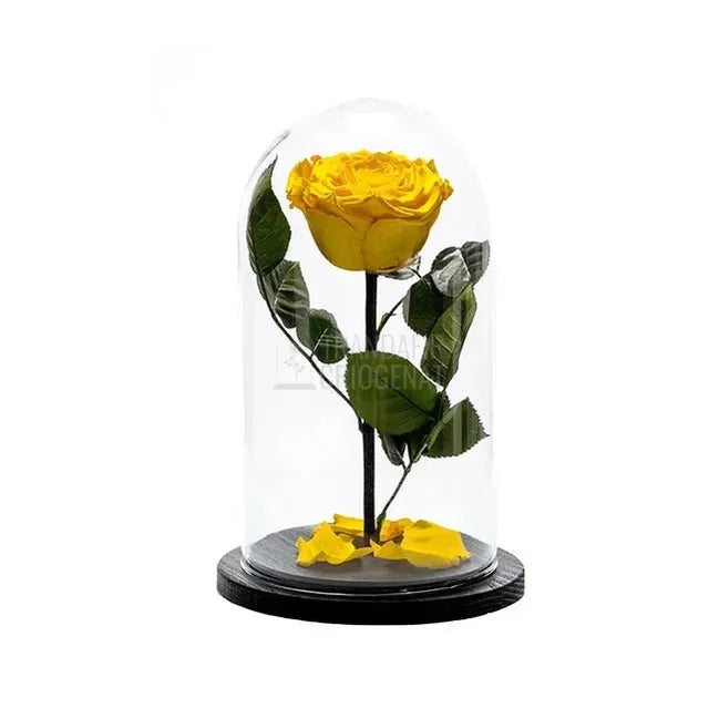 Trandafir Criogenat Galben In Cupola De Sticla Cu Mesaj Personalizat Cadou Pentru Femei