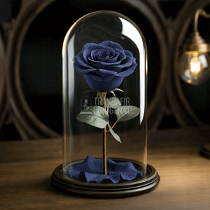 Trandafir Criogenat Gri Închis În Cupolă De Sticlă Cu Mesaj Scris Cadou Special Unic