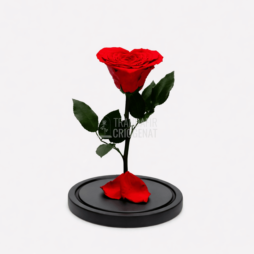 Trandafir Criogenat Inima Roșie În Cupolă De Sticlă Cu Mesaj Personalizat Cadou Pentru Iubita