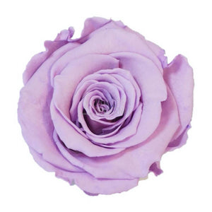 Trandafir Criogenat Lila În Cupolă De Sticlă Cu Mesaj Personalizat Cadou Deosebit Pentru Femei