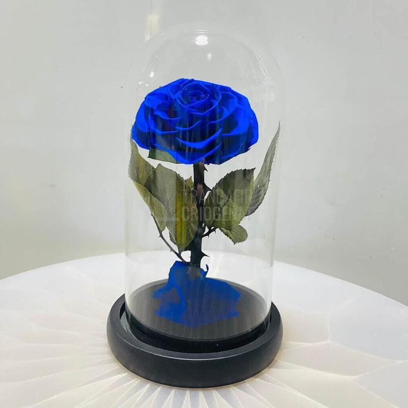 Trandafir Criogenat Mare Bonita Albastru In Cupola De Sticla Cu Mesaj Personalizat Cadou Pentru Femei