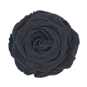 Trandafir Criogenat Negru În Cupolă Sticlă Cu Mesaj Personalizat Grav Placă Ovală Lemn Cadou Pentru Femei