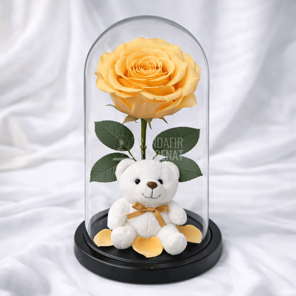 Trandafir Criogenat Piersică în Cupolă de Sticlă cu Mesaj Personal și Ursuleț de Pluș Rezistă 25 Ani