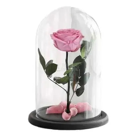 Trandafir Criogenat Premium Roz In Cupola De Sticla Cadou Cu Mesaj Rezista Pana La 25 Ani