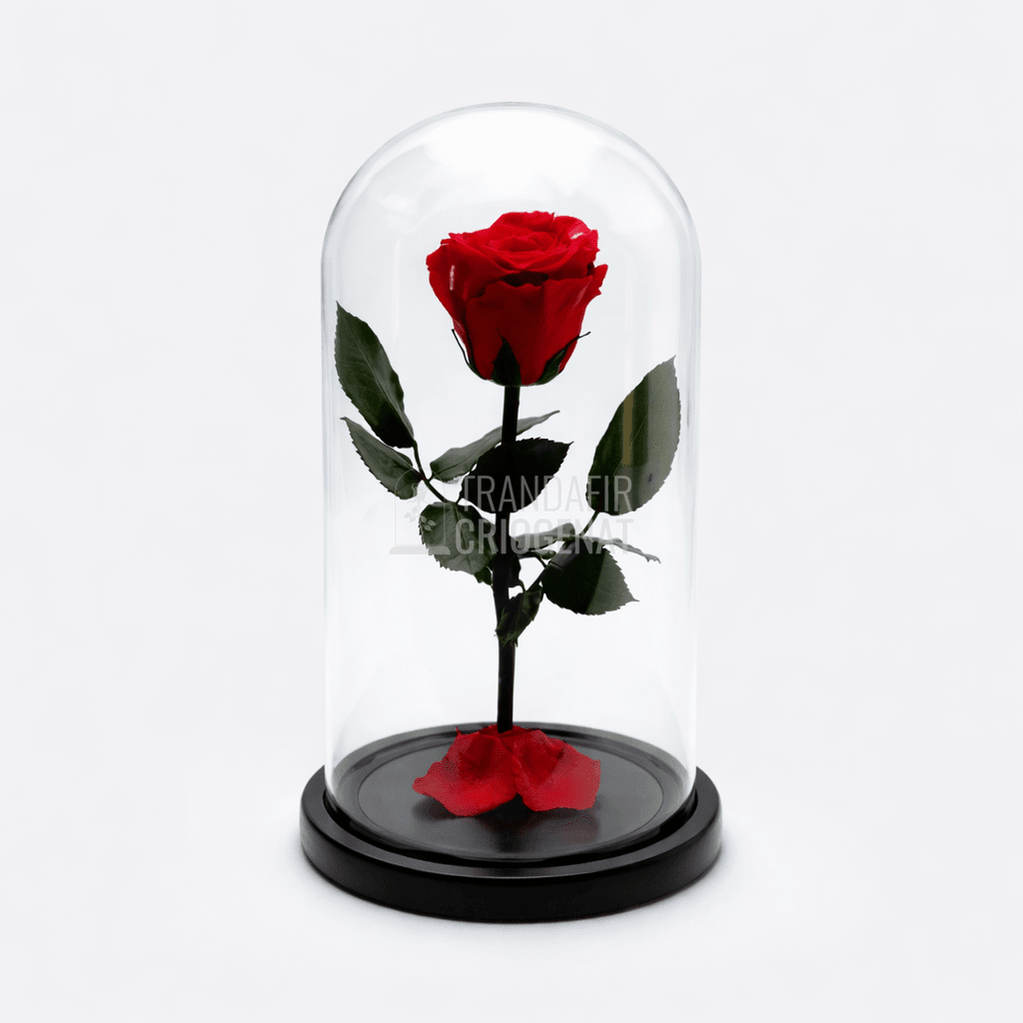 Trandafir Criogenat Roșu XL în Cupolă de Sticlă Cadou Personalizat cu Mesaj Rezistă 25 Ani