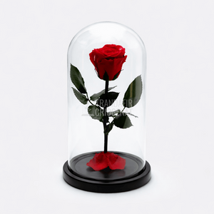 Trandafir Criogenat Roșu XL în Cupolă de Sticlă Cadou Personalizat cu Mesaj Rezistă 25 Ani