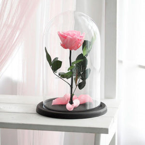 Trandafir Criogenat Roz În Cupolă De Sticlă Cu Mesaj Personalizat Rezistență Până La 25 De Ani