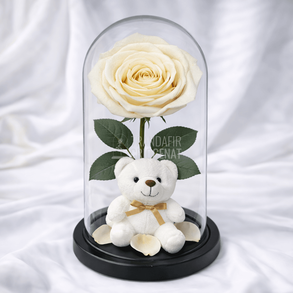 Trandafir Criogenat Sampanie In Cupola De Sticla Cu Ursulet De Pluș Si Mesaj Personalizat Cadou Emoțional Pe Termen Lung