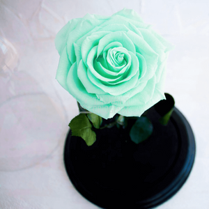 Trandafir Criogenat Turcoaz În Cupolă De Sticlă 12x25 Cm Cu Livrare Rapidă 24h Durată De Viață Până La 25 De Ani