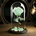 Trandafir Criogenat Verde Deschis In Cupola De Sticla Cu Mesaj Personalizat Cadou Elegant