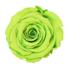 Trandafir Criogenat Verde Deschis In Cupola De Sticla Cu Mesaj Personalizat Cadouri Pentru Femei