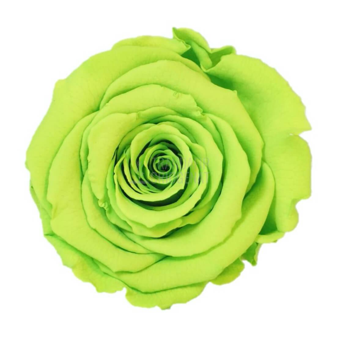 Trandafir Criogenat Verde Deschis In Cupola De Sticla Cu Mesaj Personalizat Cadouri Pentru Femei