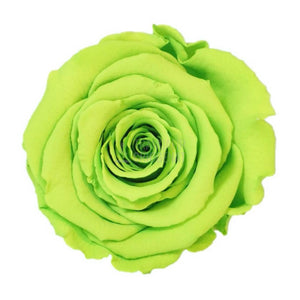 Trandafir Criogenat Verde Deschis In Cupola De Sticla Cu Mesaj Personalizat Cadouri Pentru Femei