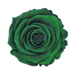 Trandafir Criogenat Verde Inchis In Cupola De Sticla Cu Mesaj Personalizat Cadou Pentru Ea