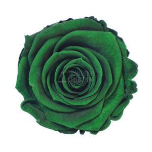 Trandafir Criogenat Verde Inchis In Cupola De Sticla Cu Mesaj Personalizat Cadou Pentru Ea