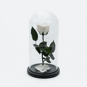 Trandafir Criogenat XL Alb Prăfuit În Cupolă De Sticlă Cadou Personalizat Cu Mesaj Rezistă 25 Ani