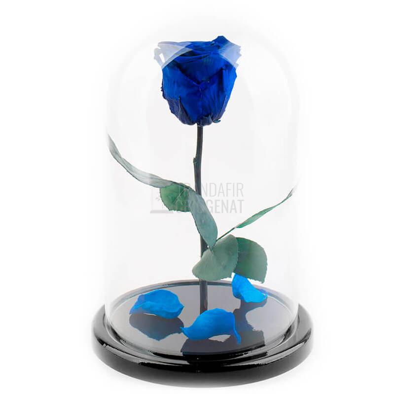Trandafir Criogenat XL Albastru În Cupolă De Sticlă Cu Mesaj Personalizat Cadou Rezistă 25 Ani