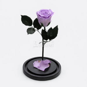 Trandafir Criogenat XL Lila În Cupolă De Sticlă Cadou Personalizat Cu Mesaj Durabil 25 Ani