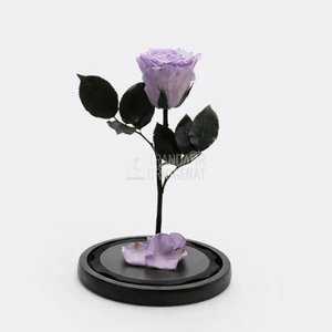 Trandafir Criogenat XL Lila În Cupolă De Sticlă Cadou Personalizat Cu Mesaj Durabil 25 Ani