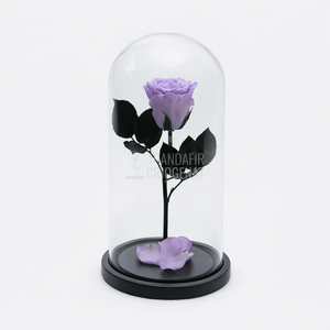 Trandafir Criogenat XL Lila În Cupolă De Sticlă Cadou Personalizat Cu Mesaj Durabil 25 Ani