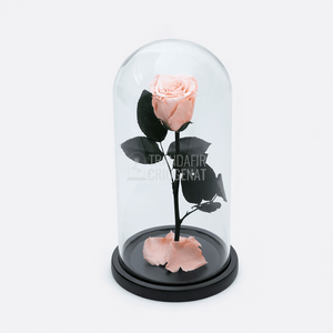 Trandafir Criogenat XL Piersică În Cupolă De Sticlă Cadou Personalizat Cu Mesaj Rezistă Până La 25 Ani