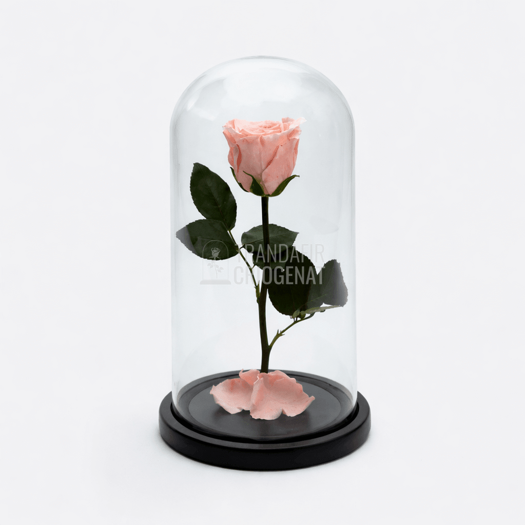 Trandafir Criogenat XL Piersică În Cupolă De Sticlă Cadou Personalizat Cu Mesaj Rezistă Până La 25 Ani