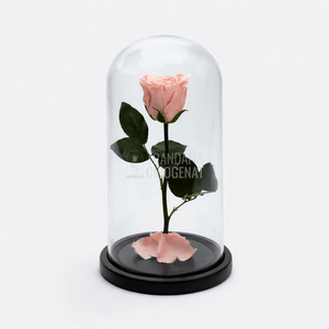 Trandafir Criogenat XL Piersică În Cupolă De Sticlă Cadou Personalizat Cu Mesaj Rezistă Până La 25 Ani