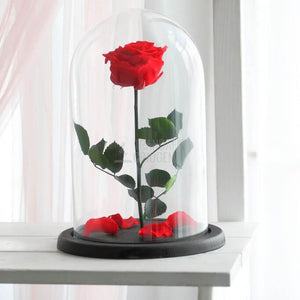 Trandafir Criogenat XL Roșu Corai În Cupolă De Sticlă Cadou Personalizat Cu Mesaj Rezistă 25 Ani