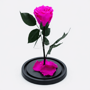 Trandafir Criogenat XL Roz Ciclam in Cupola de Sticla Cadou Personalizat cu Mesaj Rezista pana la 25 Ani