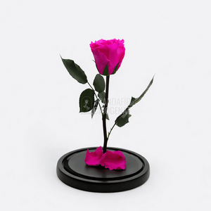 Trandafir Criogenat XL Roz Ciclam in Cupola de Sticla Cadou Personalizat cu Mesaj Rezista pana la 25 Ani