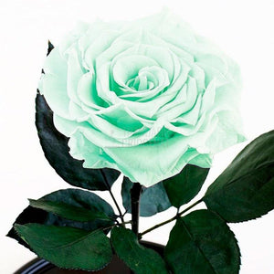 Trandafir Criogenat XL Verde Mentă În Cupolă De Sticlă Personalizat Cu Mesaj Cadou Elegant Durabil