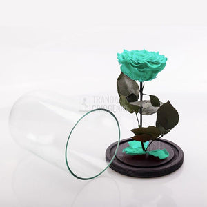 Trandafir Criogenat XL Verde Mentă În Cupolă De Sticlă Personalizat Cu Mesaj Cadou Elegant Durabil