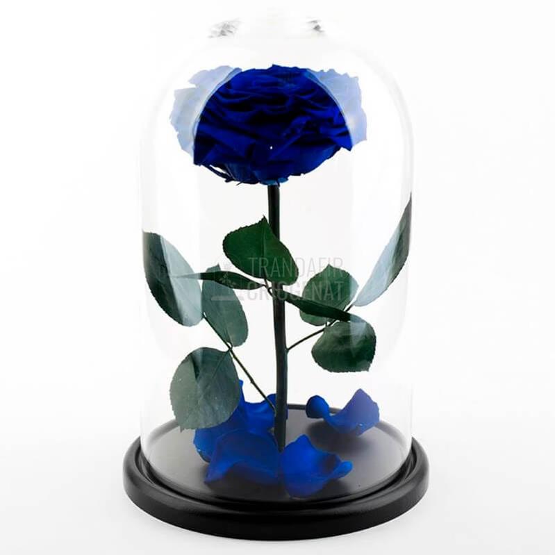 Trandafir Criogenat XXL Albastru In Cupola De Sticla Cu Mesaj Scris Cadou Pentru Ea