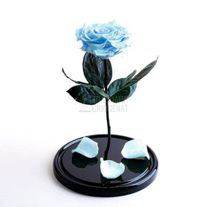 Trandafir Criogenat XXL Bleu În Cupolă De Sticlă Cu Mesaj Personalizat Cadou Pentru Femei