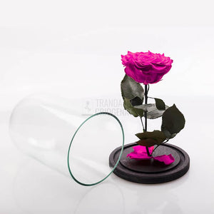 Trandafir Criogenat XXL Roz Ciclam In Cupola De Sticla Cu Mesaj Personalizat Cadou Pentru Femei