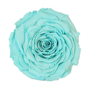 Trandafir Criogenat XXL Turcoaz În Cupolă De Sticlă Cu Mesaj Scris Cadou Pentru Femei