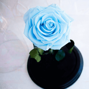 Trandafir Criogenat în Cupolă de Sticlă cu Mesaj Personalizat Bleu, Cadou pentru Aniversări și Momente Speciale