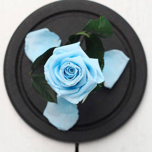 Trandafir Criogenat în Cupolă de Sticlă cu Mesaj Personalizat Bleu, Cadou pentru Aniversări și Momente Speciale