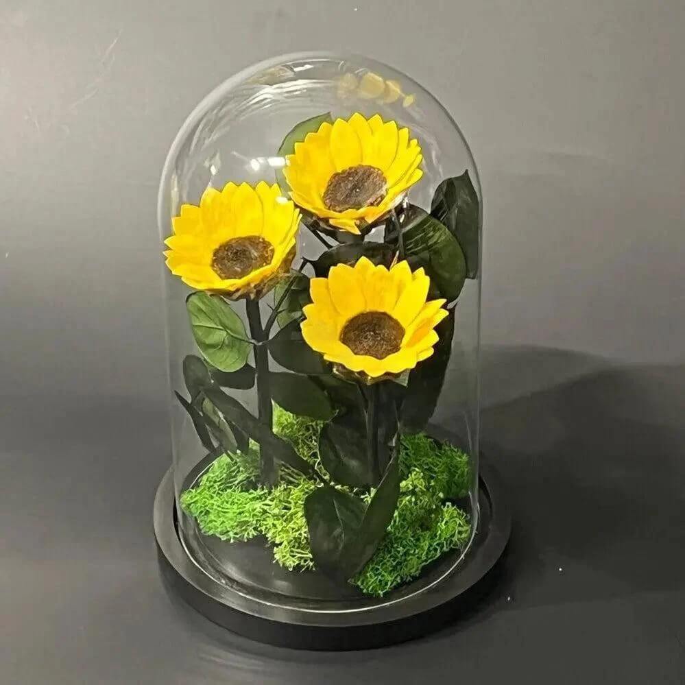 Aranjament Cu 3 Floarea Soarelui Criogenate In Cupolă De Sticlă 6 Cm Cadou - Trandafir - Criogenat.ro