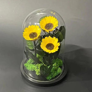 Aranjament Cu 3 Floarea Soarelui Criogenate In Cupolă De Sticlă 6 Cm Cadou - Trandafir - Criogenat.ro