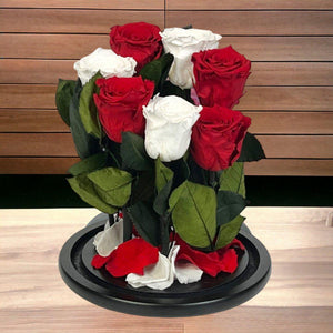 Aranjament Cu 7 Trandafiri Criogenati În Cupolă De Sticlă Cu Mesaj Personalizat - Trandafir - Criogenat.ro